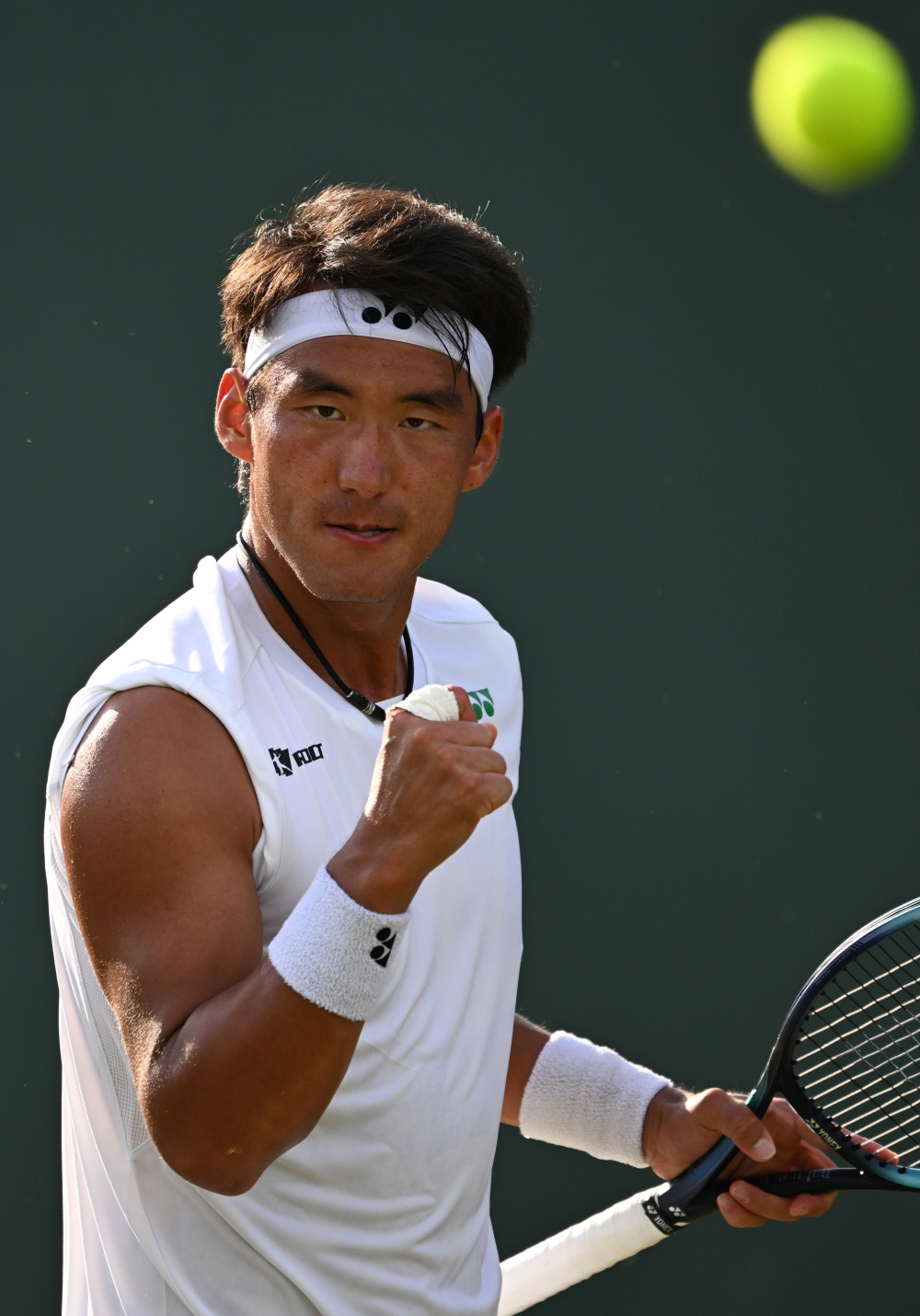 体竞争的激 体竞争的激