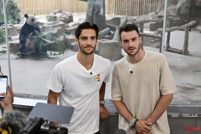 稳步迈入 稳步迈入